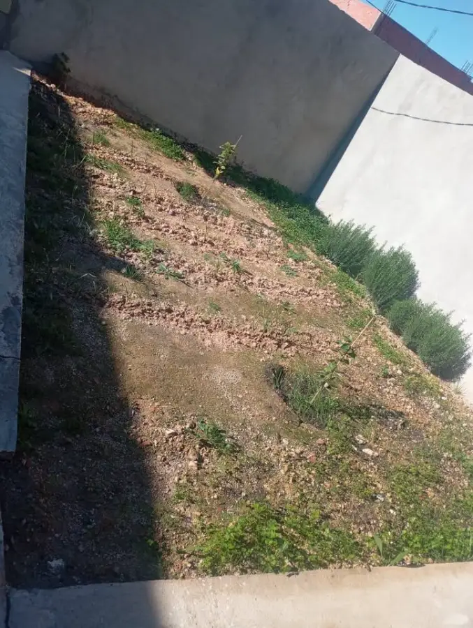 🏡 Maison à vendre – 220m² S+3 Très bon état – Contactez le 93686236 - Photo 9