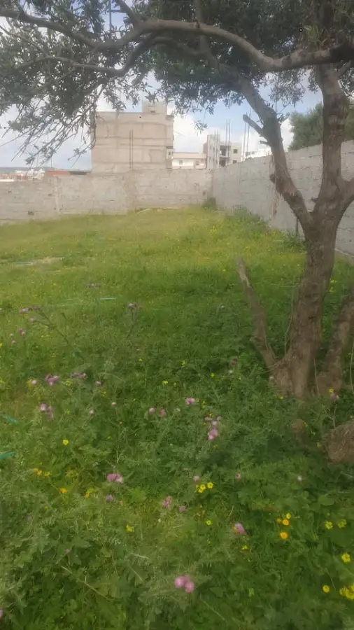 Terrain de 352 m² à Jardins El Menzah 1  - Photo 1