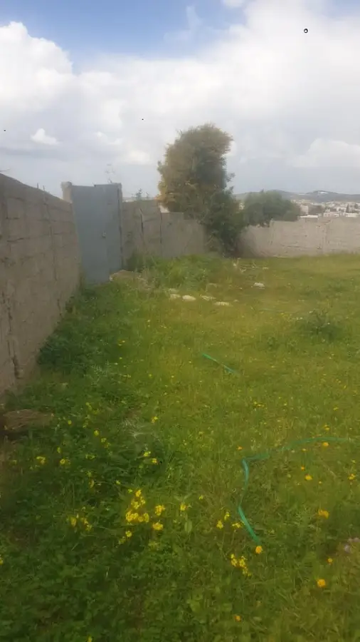 Terrain de 352 m² à Jardins El Menzah 1  - Photo 2