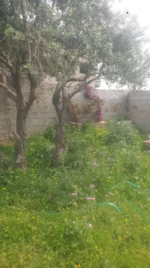 Terrain de 352 m² à Jardins El Menzah 1  - Photo 3