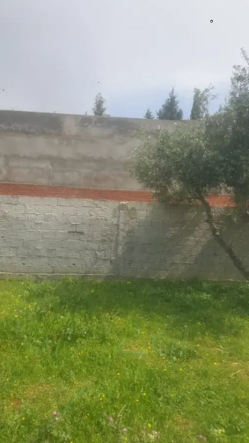 Terrain de 352 m² à Jardins El Menzah 1  - Photo 4