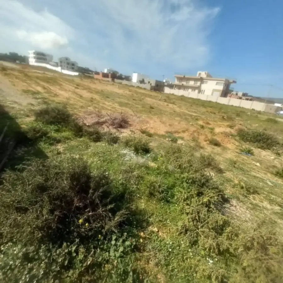 🏖️ Terrain à vendre à El Haouaria – Vue mer imprenable ! - Photo 2