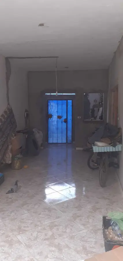 Deux maisons  300m² à Menzel Bourguiba (Chelaghmia) – 150.000 DT - Photo 6