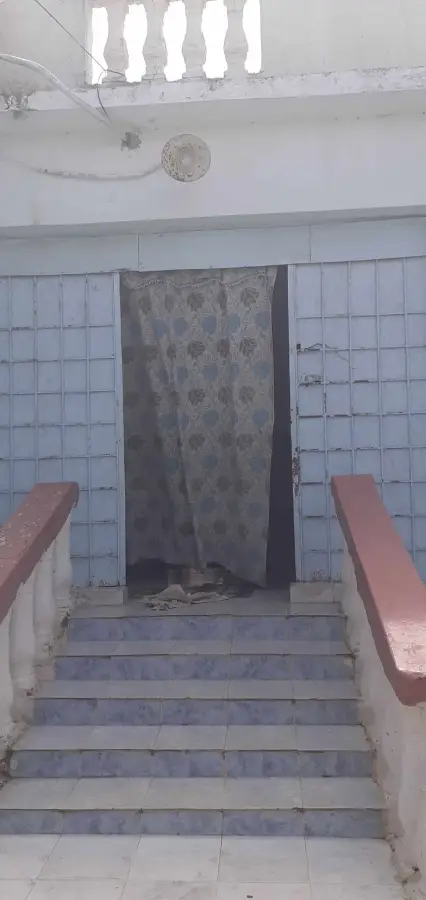 Deux maisons  300m² à Menzel Bourguiba (Chelaghmia) – 150.000 DT - Photo 7