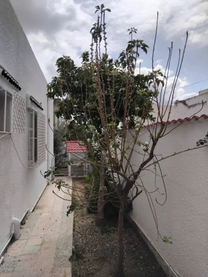 Villa S+3 avec studio à Nouvelle Médina – 352m² – 90 035 320 - Photo 3