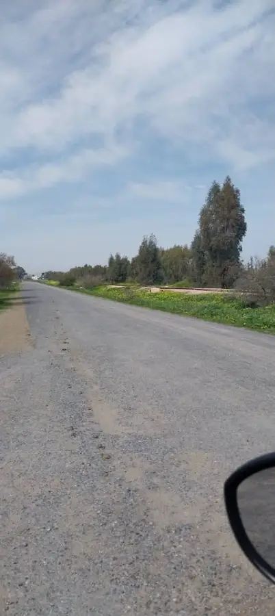 Terrain de 4650 m² à vendre à El Jadida – Proche centre-ville, titre foncier – 92 100 005 - Photo 2