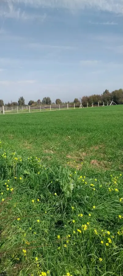 Terrain de 4650 m² à vendre à El Jadida – Proche centre-ville, titre foncier – 92 100 005 - Photo 3