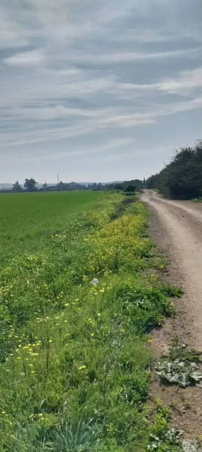 Terrain de 4650 m² à vendre à El Jadida – Proche centre-ville, titre foncier – 92 100 005 - Photo 5