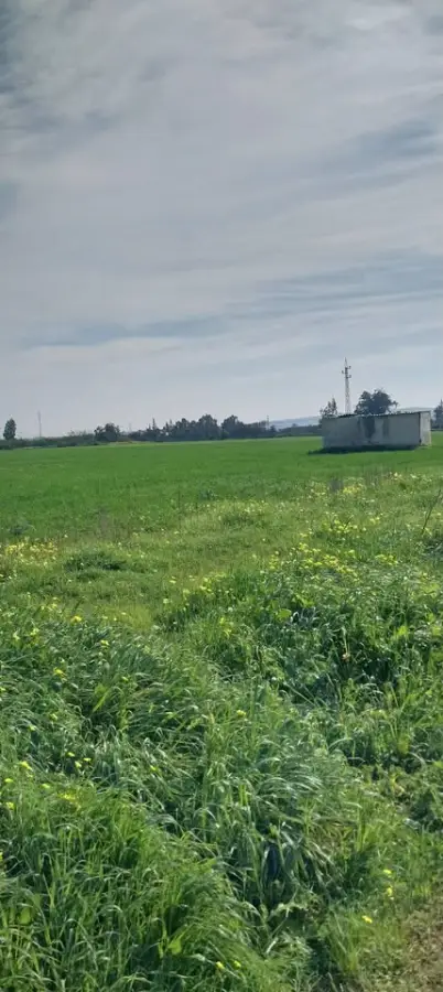 Terrain de 4650 m² à vendre à El Jadida – Proche centre-ville, titre foncier – 92 100 005 - Photo 1