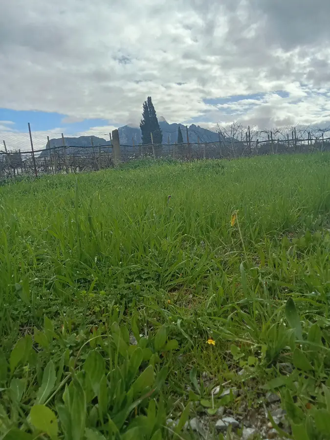 Terrain à vendre à Ben-Arous - Terrain w villa non Fini 316m² - Photo 2