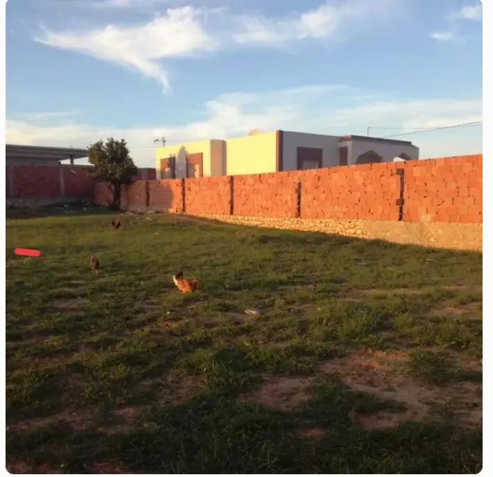 Terrain constructible pour un vaste villa a route ain - Photo 2