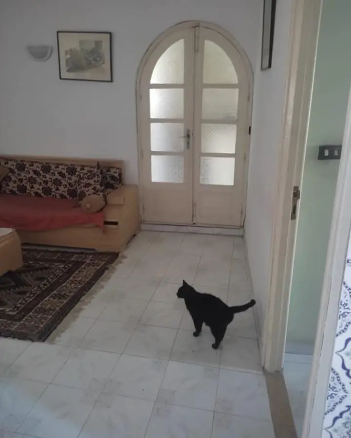 Étage de villa a vendre  - Photo 2