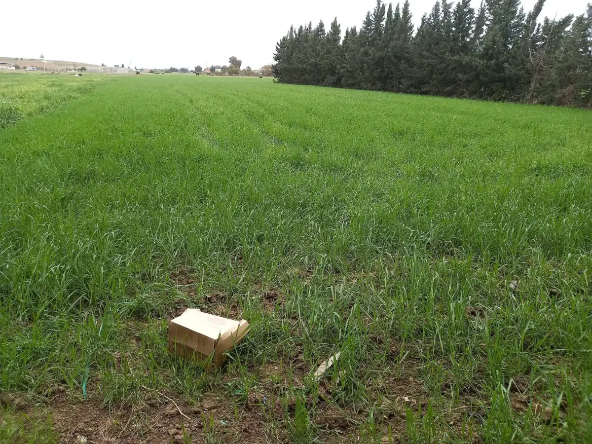 Terrain constructible et agricole sur la route principale  - Photo 2