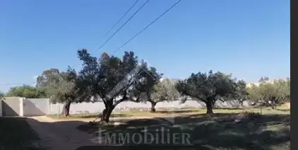 terrain 220TND - Photo 1