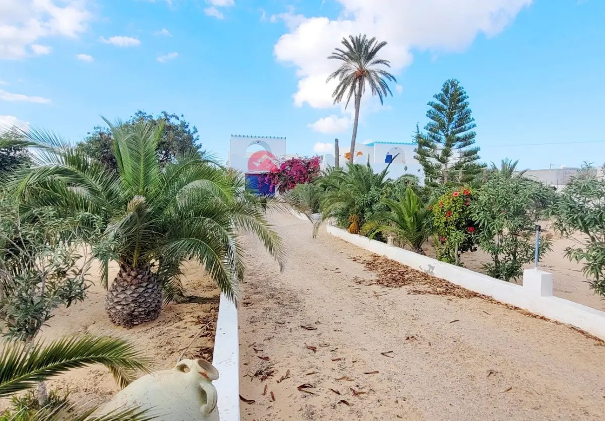 Grande propriété à vendre à Djerba Arkou ZA  V 668 - Photo 1