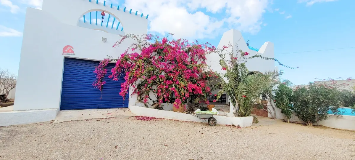 Grande propriété à vendre à Djerba Arkou ZA  V 668 - Photo 3