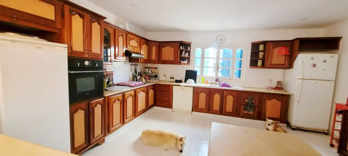 Grande propriété à vendre à Djerba Arkou ZA  V 668 - Photo 7