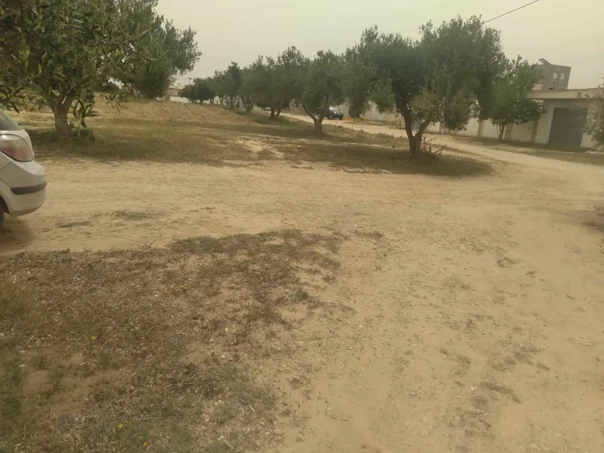  Vente de lots de terrain à Soliman - Photo 1