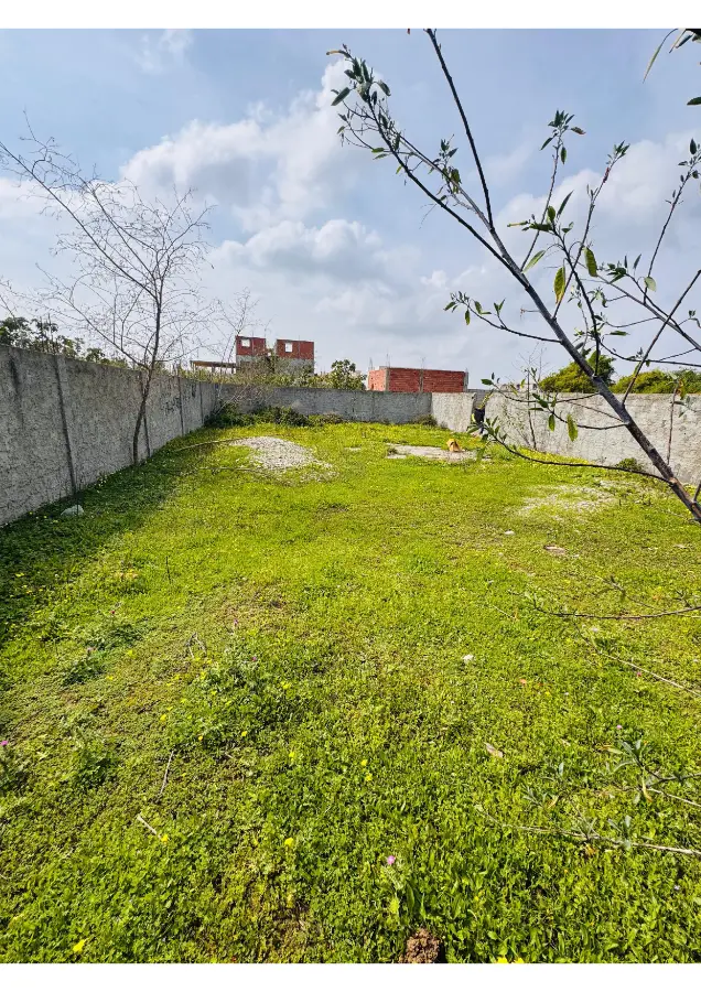 Terrain constuctible a la soukra sidi fraj. - Photo 2