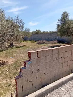 Terrain de 250m² situé à Borj Etouil à Ariana