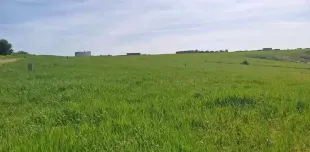 اللبيع الارض مسجلية في سيدي مدين 2500م à Zaghouan