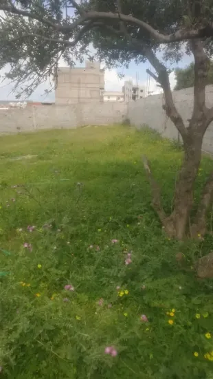 Terrain de 352 m² à Jardins El Menzah 1 