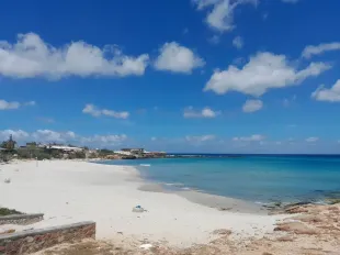 A louer pour les vacances d'été à kelibia.  à Nabeul