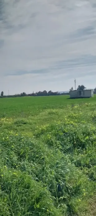 Terrain de 4650 m² à vendre à El Jadida – Proche centre-ville, titre foncier – 92 100 005 à Manouba