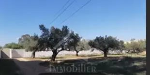 terrain 220TND à Nabeul
