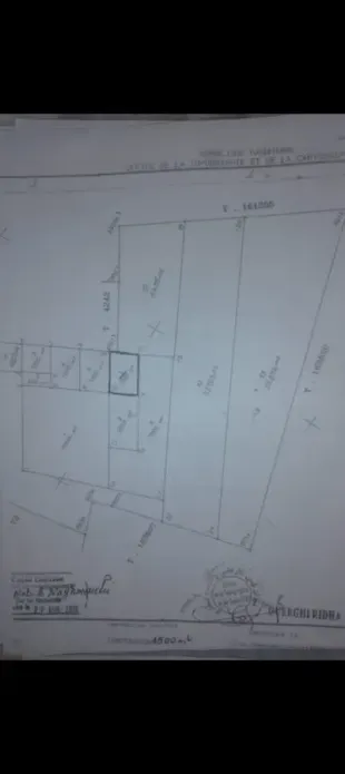 Terrain consctructible cité ferdaous jandouba