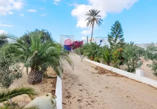 Grande propriété à vendre à Djerba Arkou ZA  V 668 à Medenine