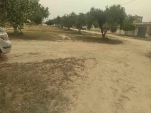  Vente de lots de terrain à Soliman à Nabeul